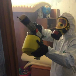 Уничтожение клопов в квартире. Кемь